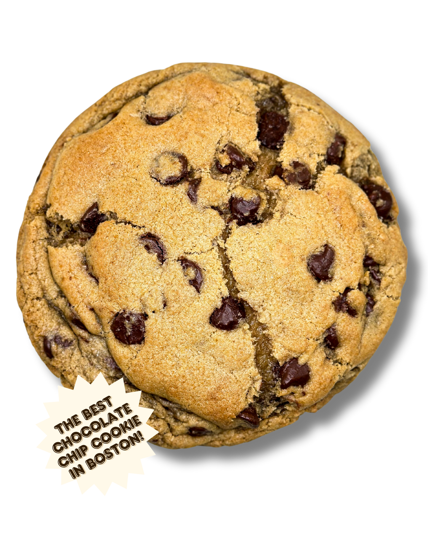 Chocolate Chip