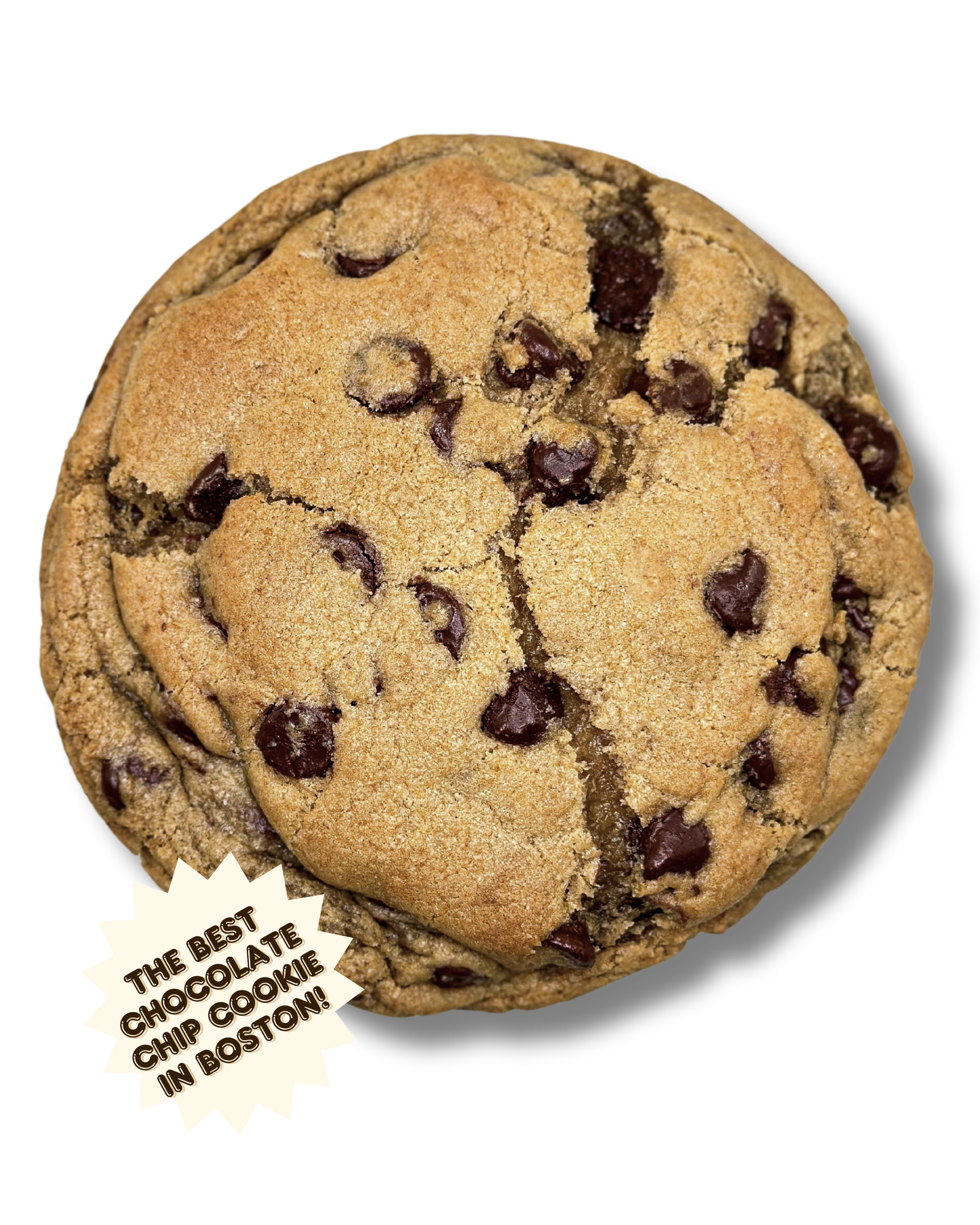 Chocolate Chip