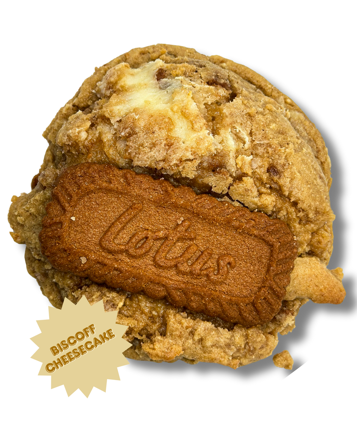Boston Cookie Kitchen Biscoff Cheesecake cookie with cookie butter and cheesecake flavor