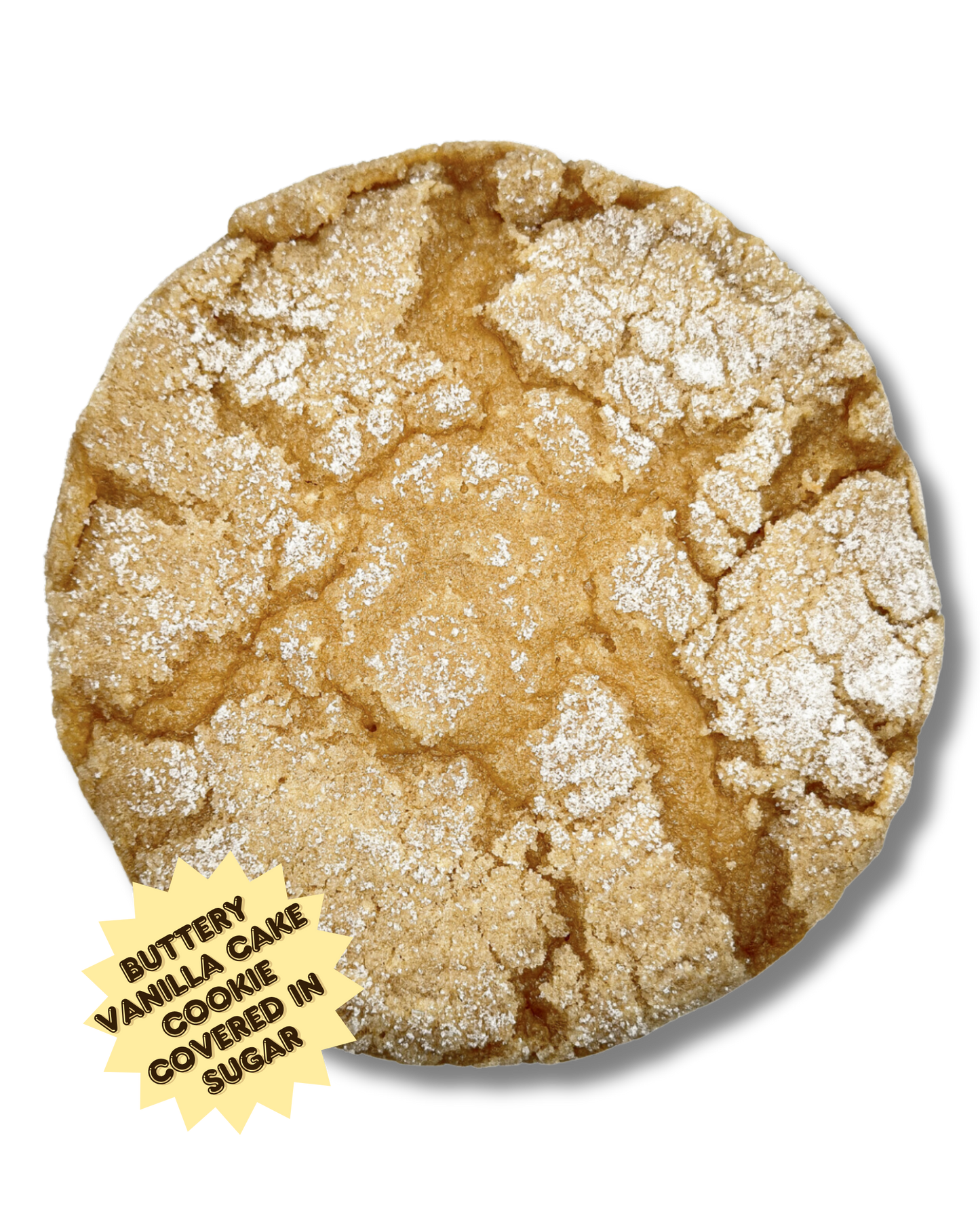 Boston Cookie Kitchen Sugar Cookie, a buttery vanilla cake cookie covered in sugar
