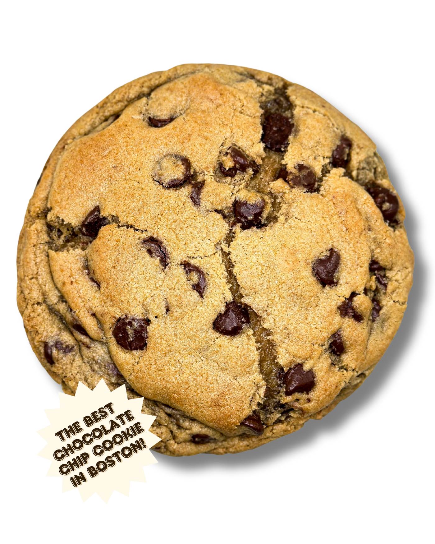 Chocolate Chip