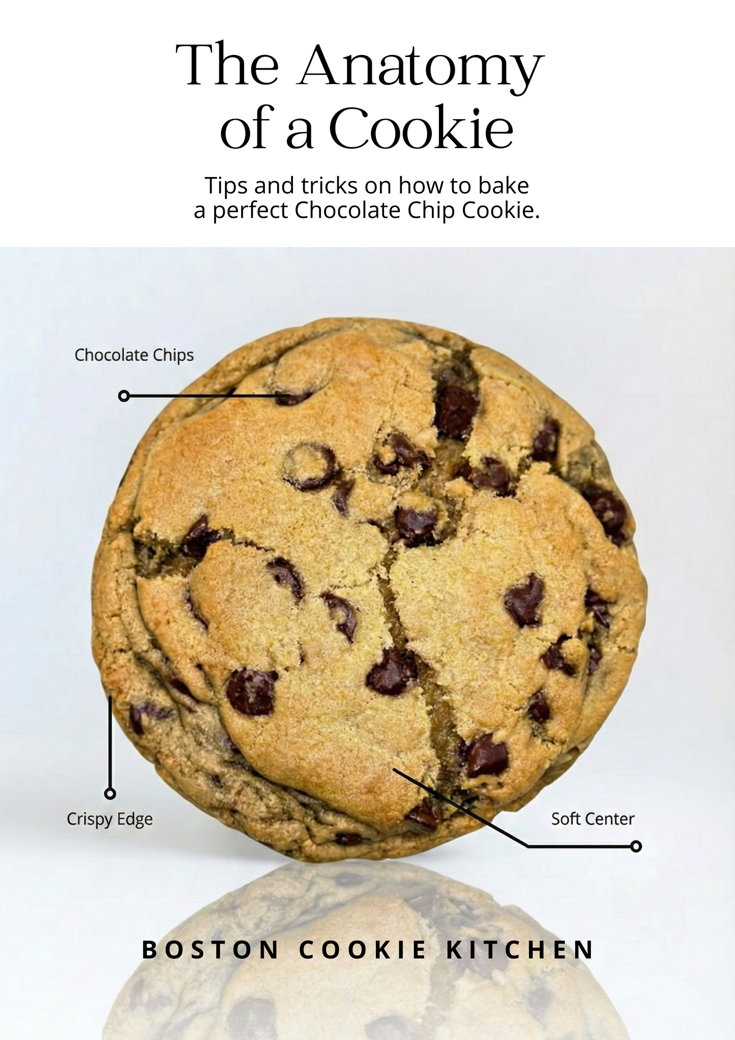 The Anatomy of a Cookie - A guide to structure, balance, and baking with intention